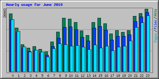 Hourly usage for June 2019