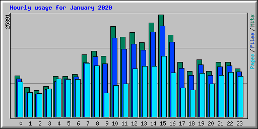 Hourly usage for January 2020