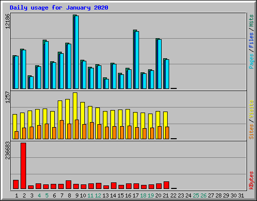 Daily usage for January 2020