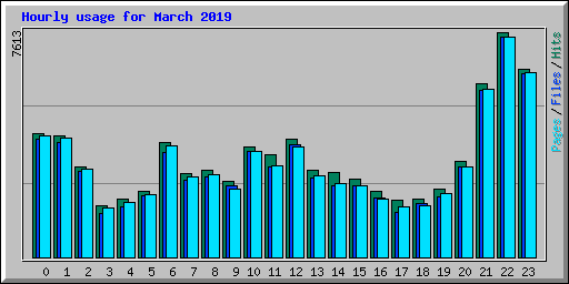 Hourly usage for March 2019