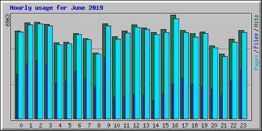 Hourly usage for June 2019