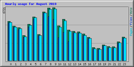 Hourly usage for August 2019