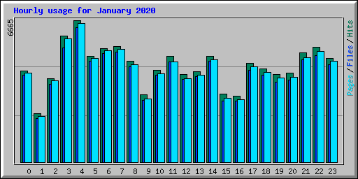 Hourly usage for January 2020