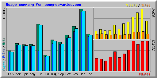 Usage summary for congres-arles.com