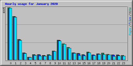 Hourly usage for January 2020