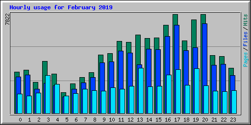 Hourly usage for February 2019