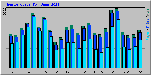 Hourly usage for June 2019