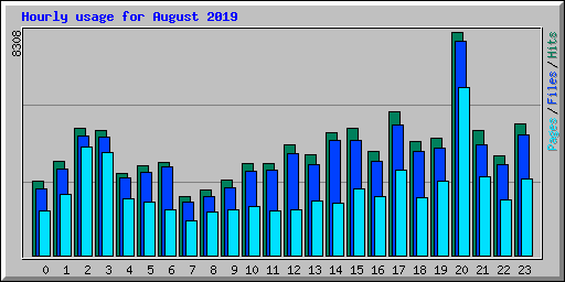 Hourly usage for August 2019