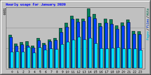 Hourly usage for January 2020