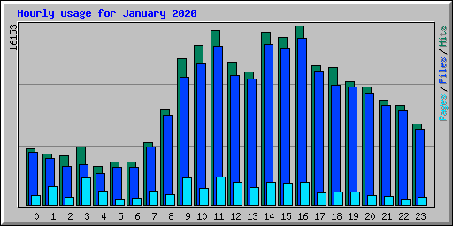 Hourly usage for January 2020