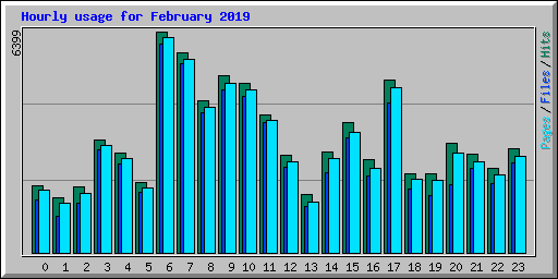 Hourly usage for February 2019