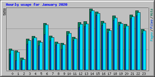 Hourly usage for January 2020